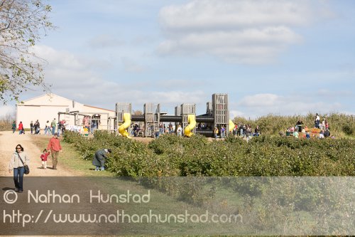 Apple_Orchard_2008-10-18_IMG_2370